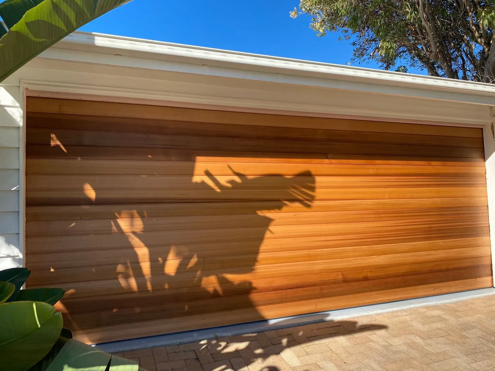 Wooden Garage Door Bathed in Sunlight — P & D Garage Doors in Taree, NSW
