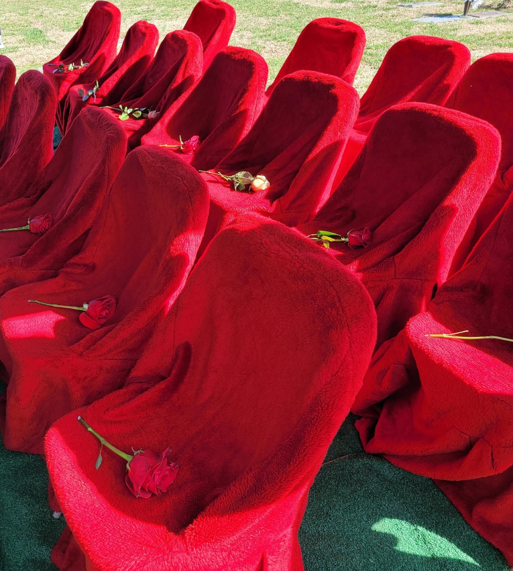 Rows of red, covered chairs with roses on each; prepared for an outdoor event.