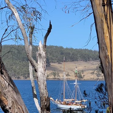 Bruny Island Day Sail