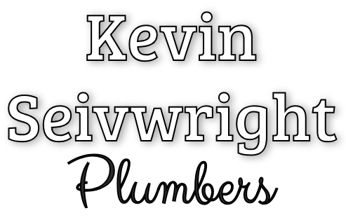 Seivwright logo