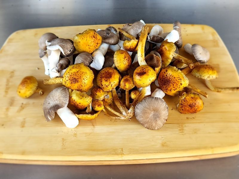 A wooden cutting board filled with different types of mushrooms
