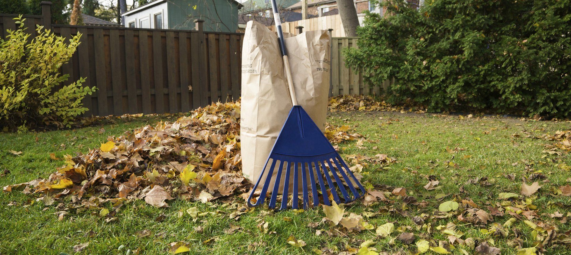 Garden maintenance in Bromsgrove, C & R Services