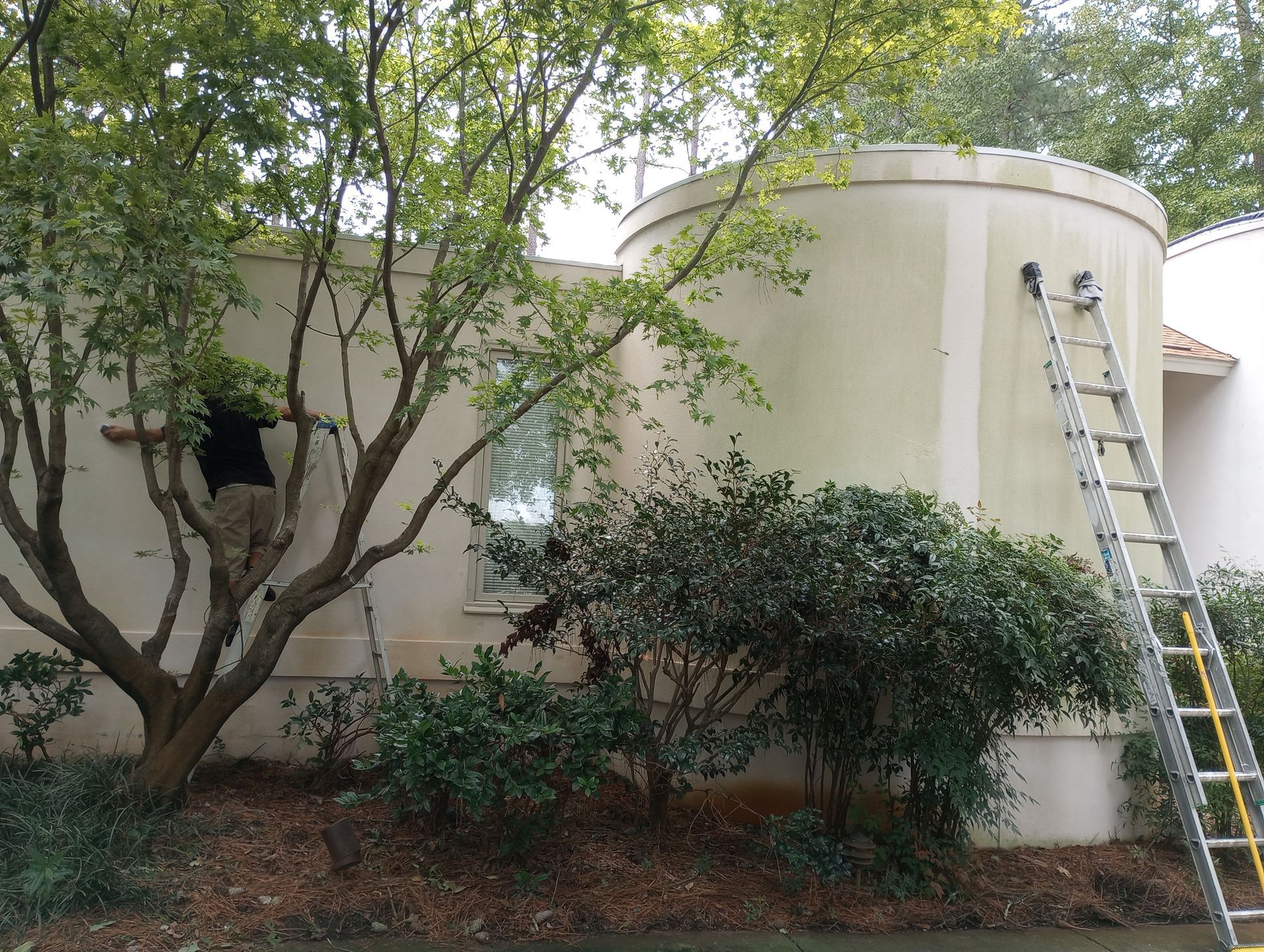 Pressure washing (after)