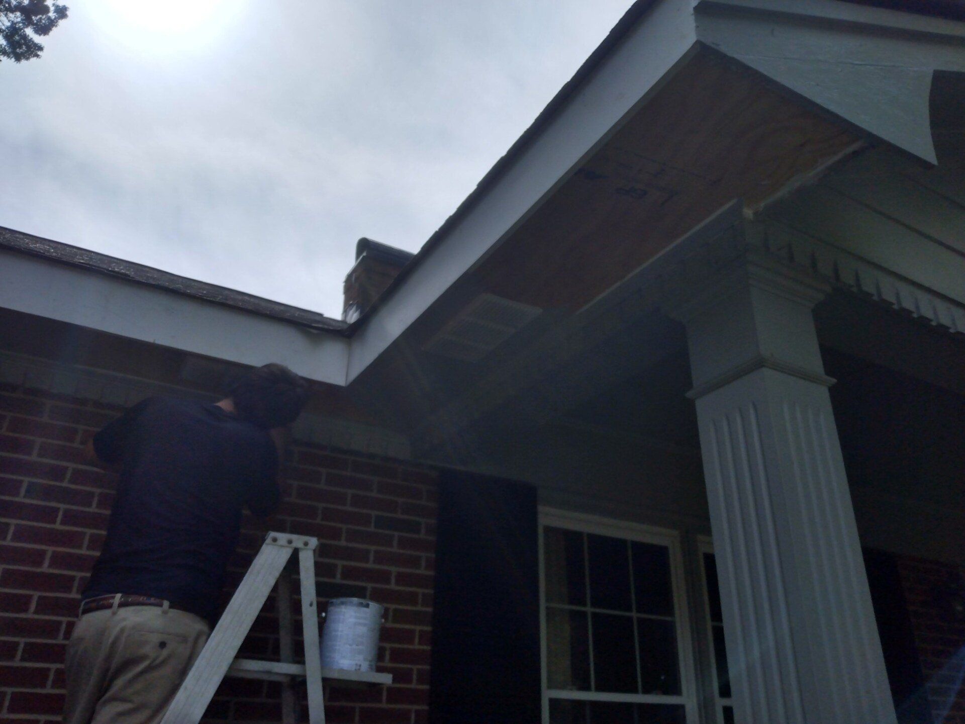 Rot removal and painting