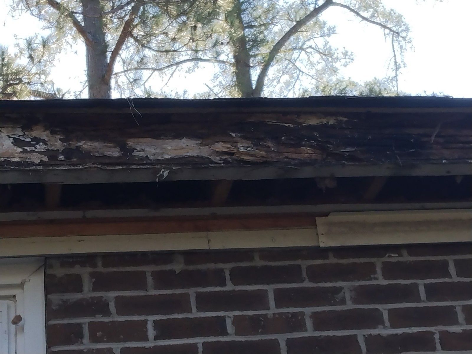 Facia board replacement (wood rot)