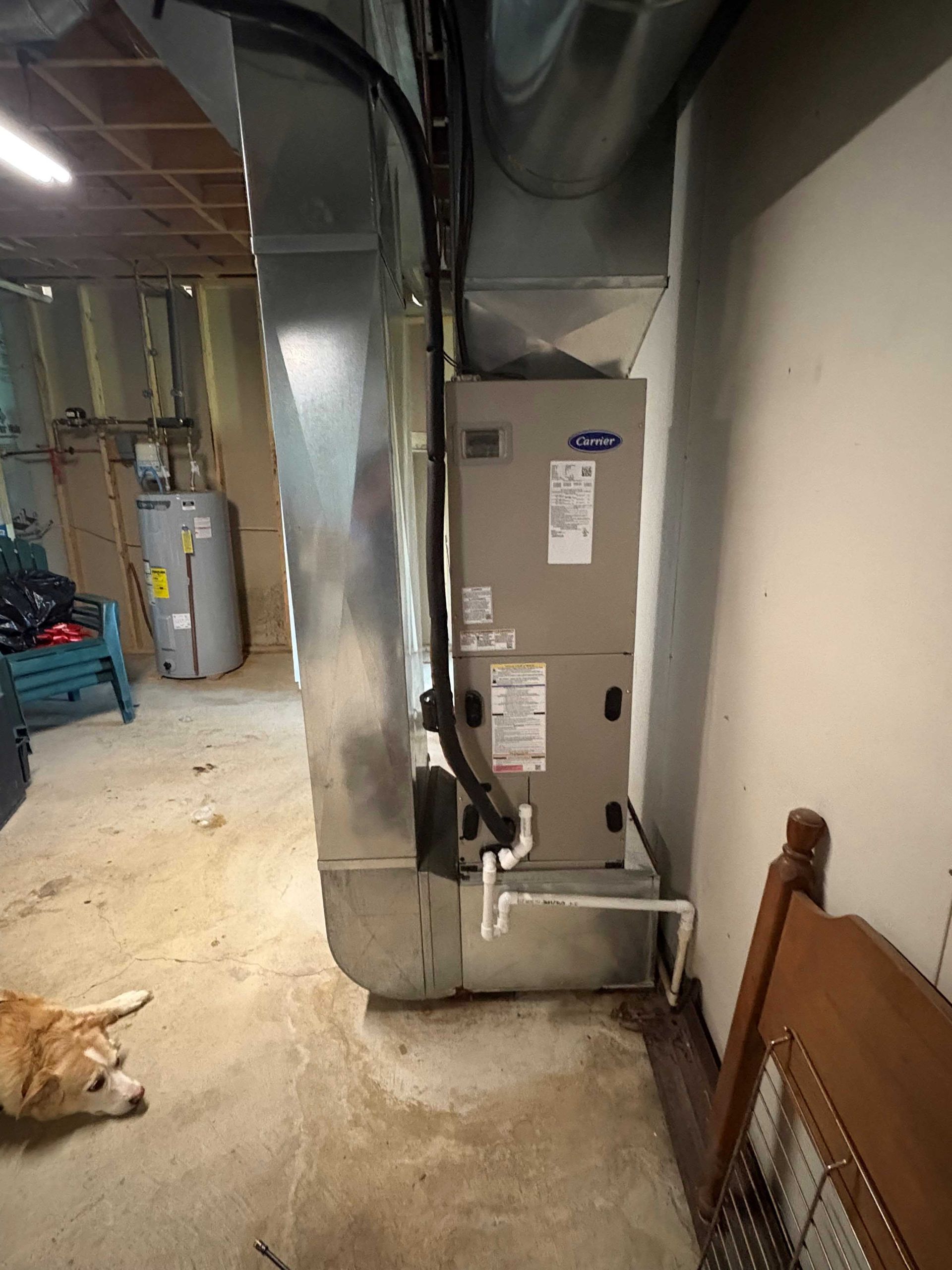 A dog is laying next to a heater in a basement.