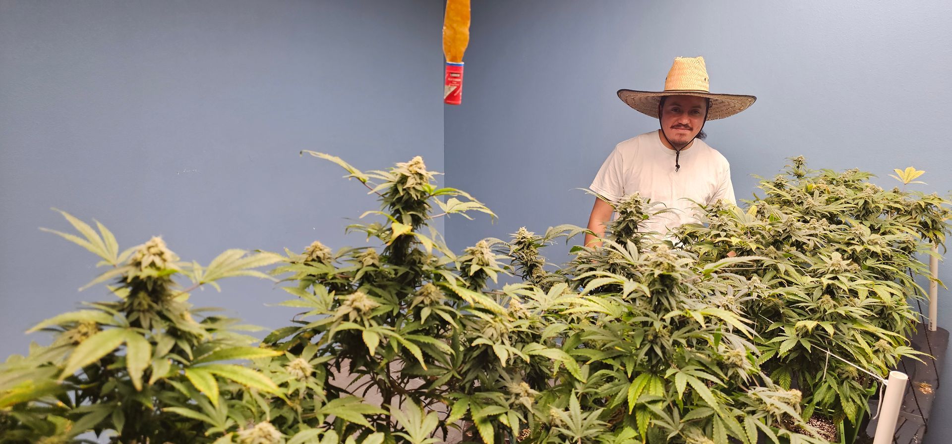 People preparing food on a table in a brightly lit room with a Star Wars mural.