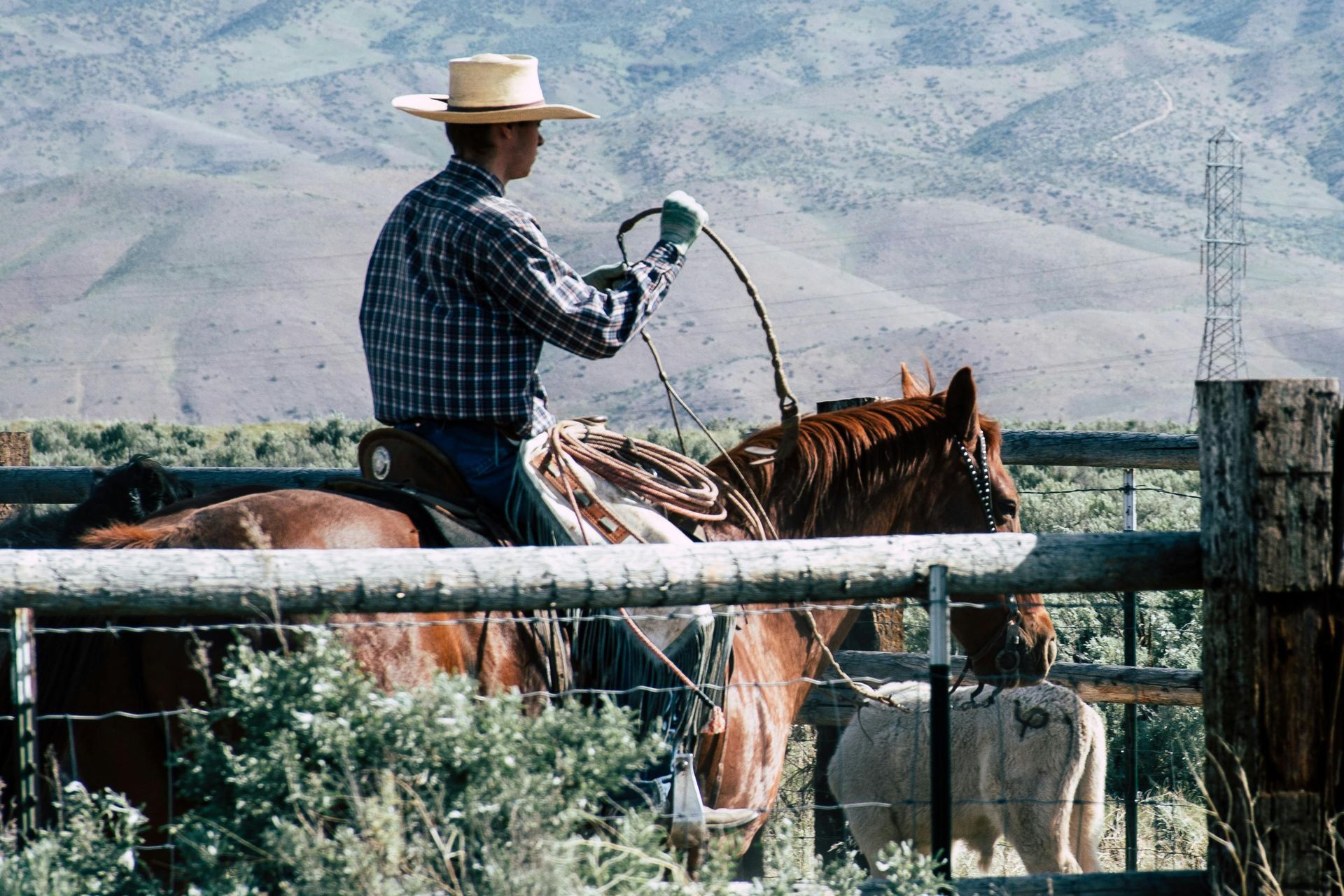 A man in a cowboy hat is riding a horse behind a fence.
