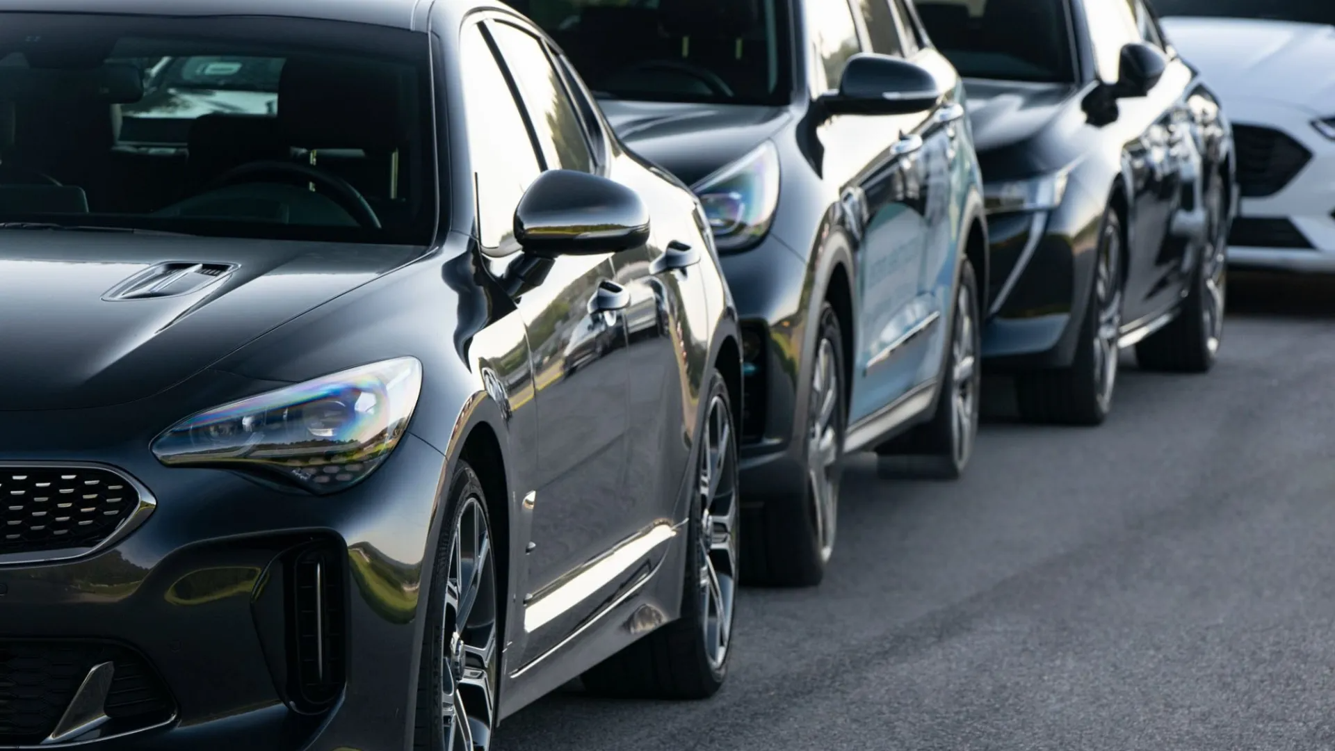 A line of black cars parked on a paved road, facing the same direction.