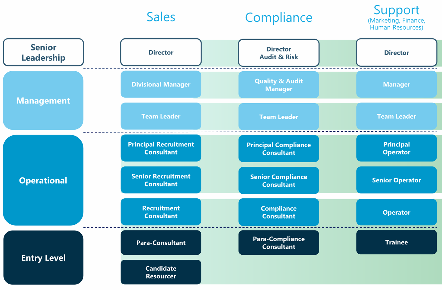 Career progression chart for Verus People