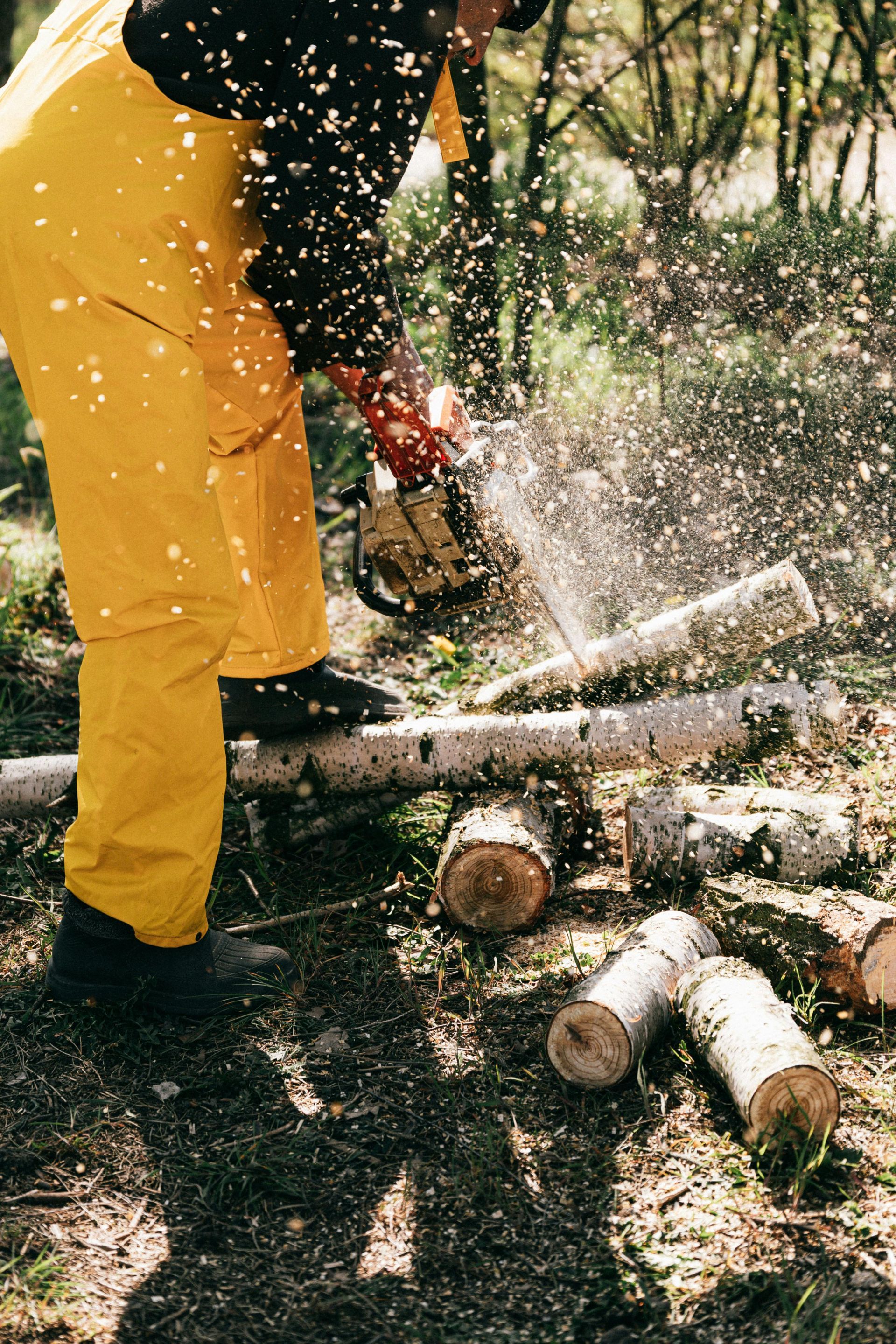 A man in yellow overalls is using a chainsaw to cut logs.