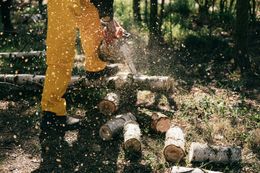 A man is cutting logs with a chainsaw in the woods.