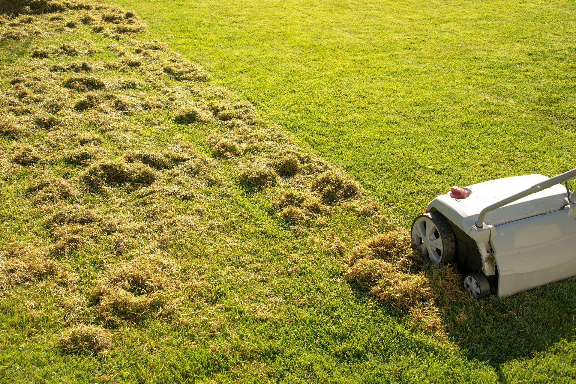 A person is using a lawn mower to remove weeds from a lush green lawn.