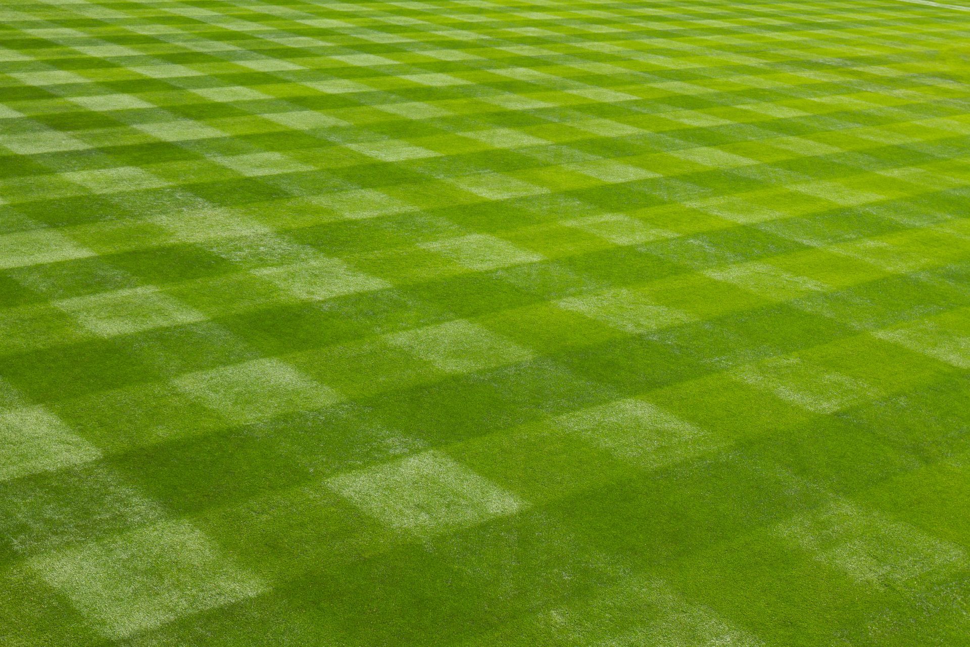 A person is using a lawn mower to remove weeds from a lush green lawn.