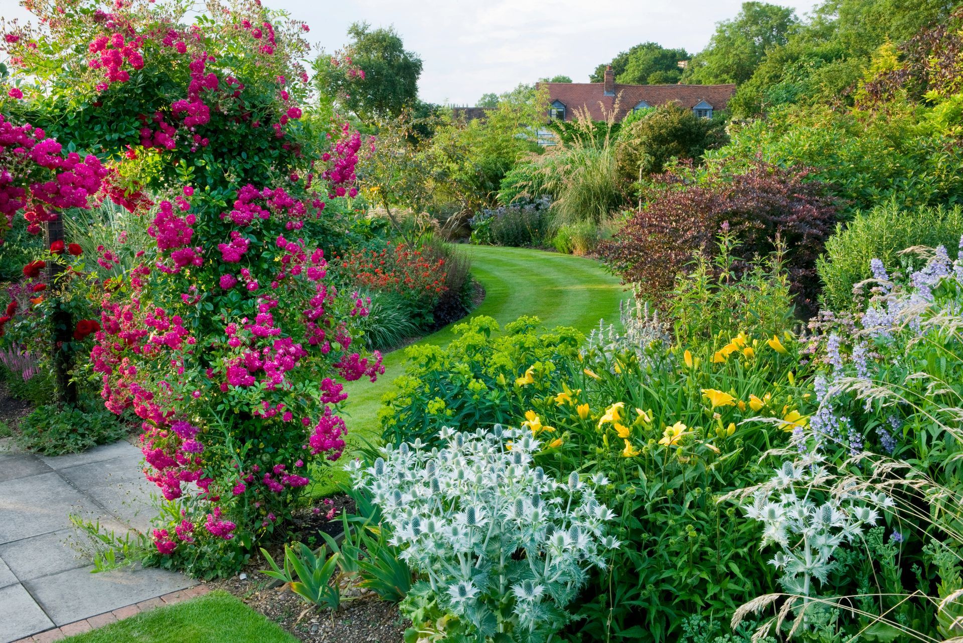 There are many different types of flowers in this garden.