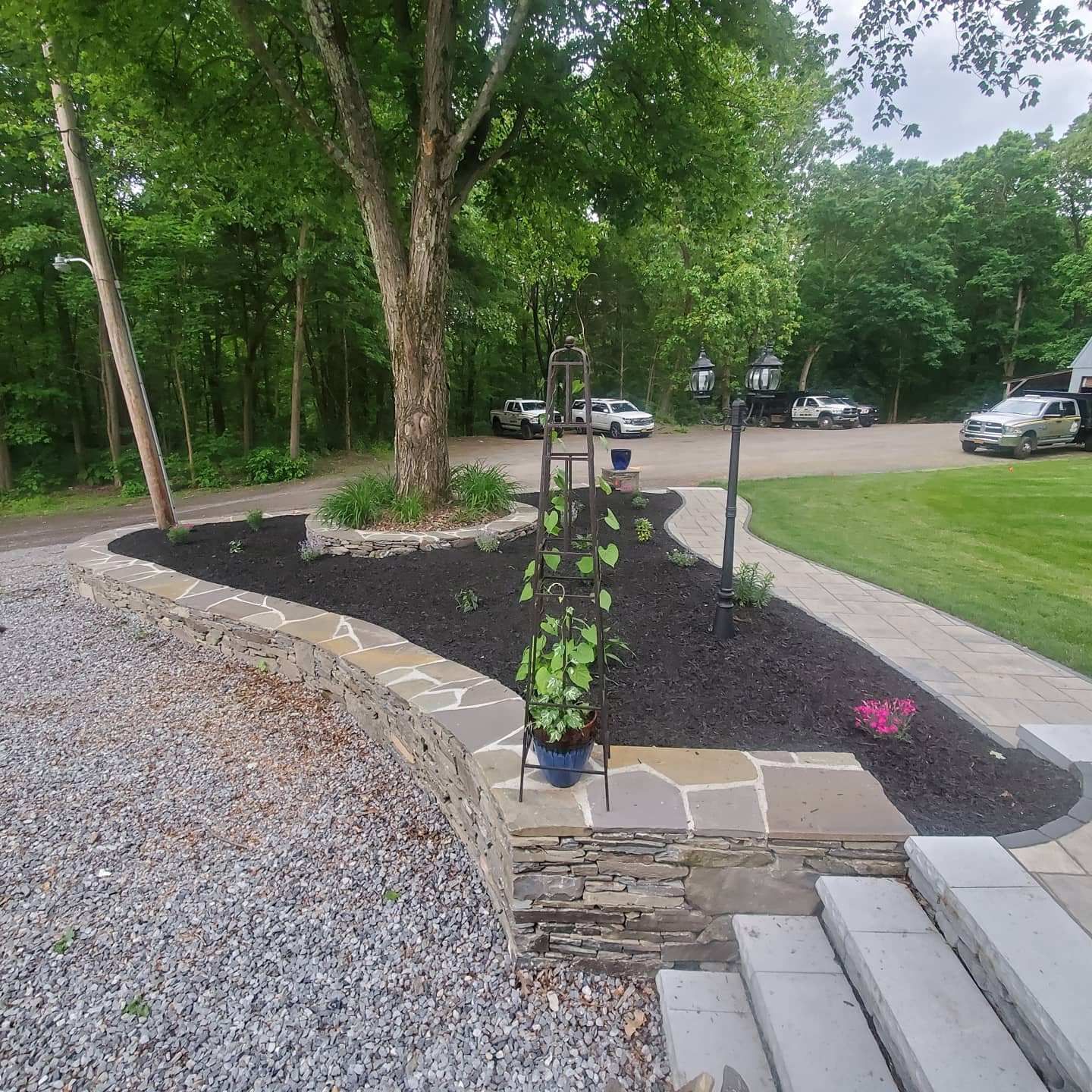 A lush green garden with a yellow building in the background