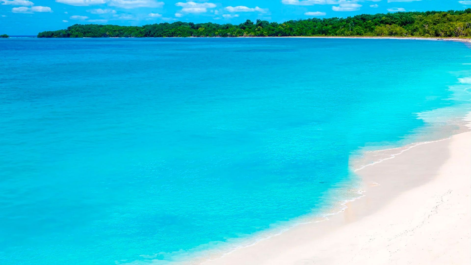 EL SABOR DE JAMAICA (Grupal y acompañada) - Salida 22/08