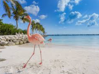 ARUBA