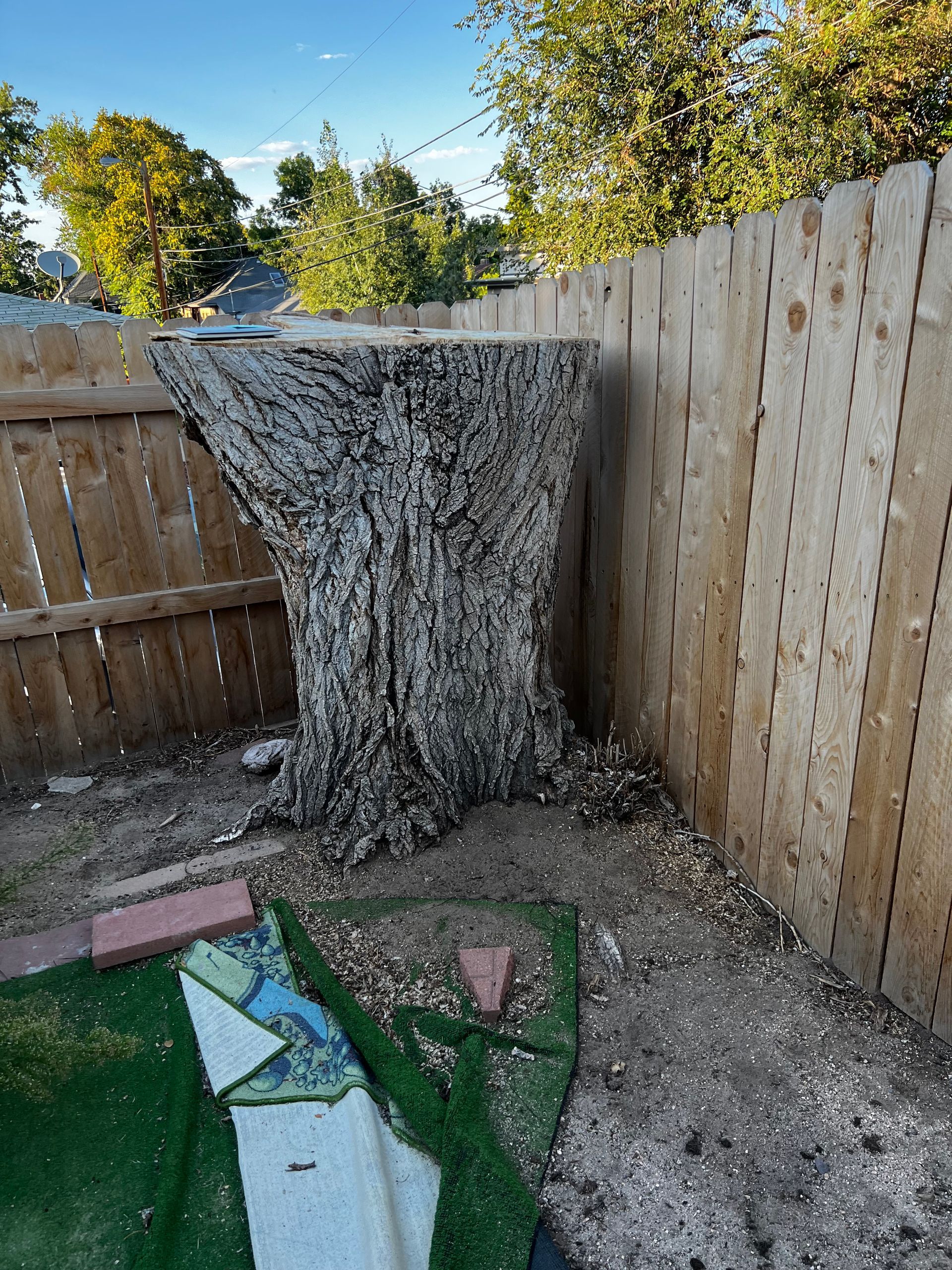 Cutting Part Of A Tree — Denver, CO — Moore Stump Removal