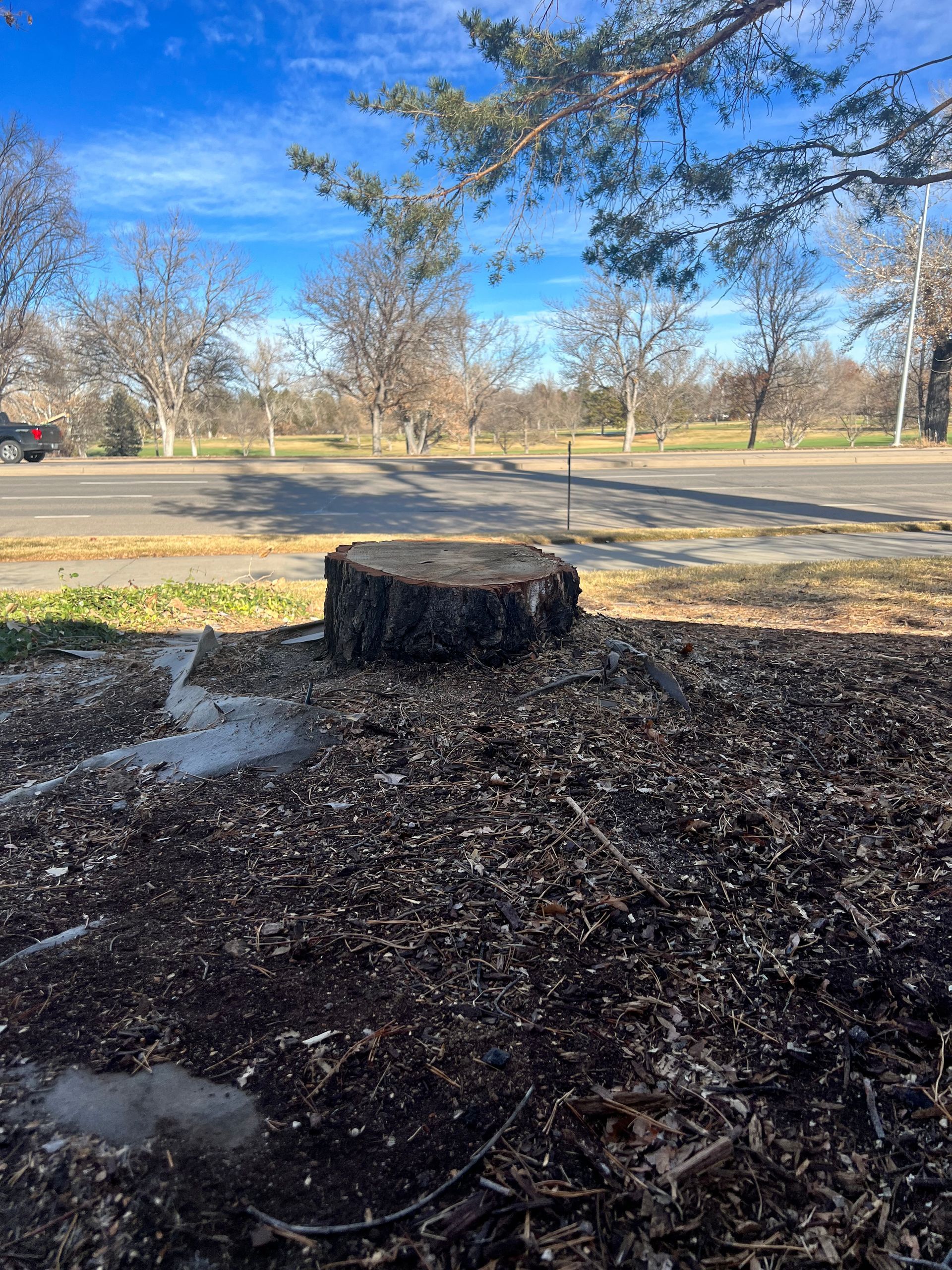 A large tree stump is sitting in the middle of a field.