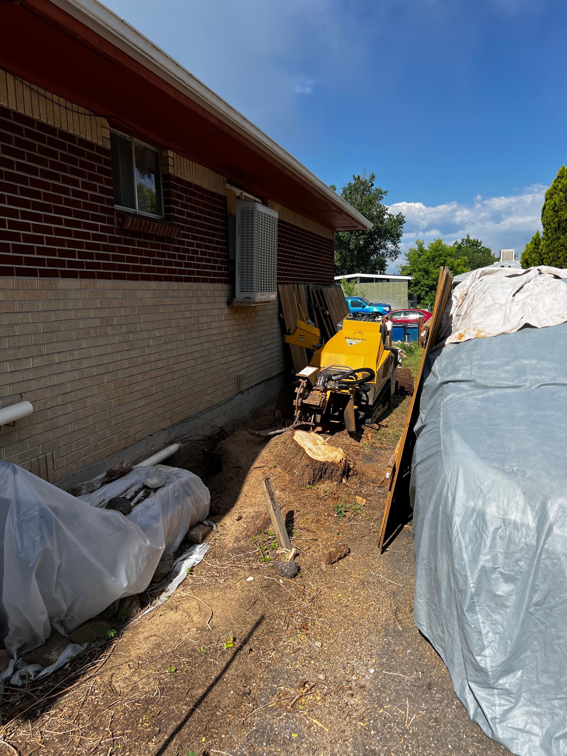 Removing big stumps in tight places.  Denver, CO