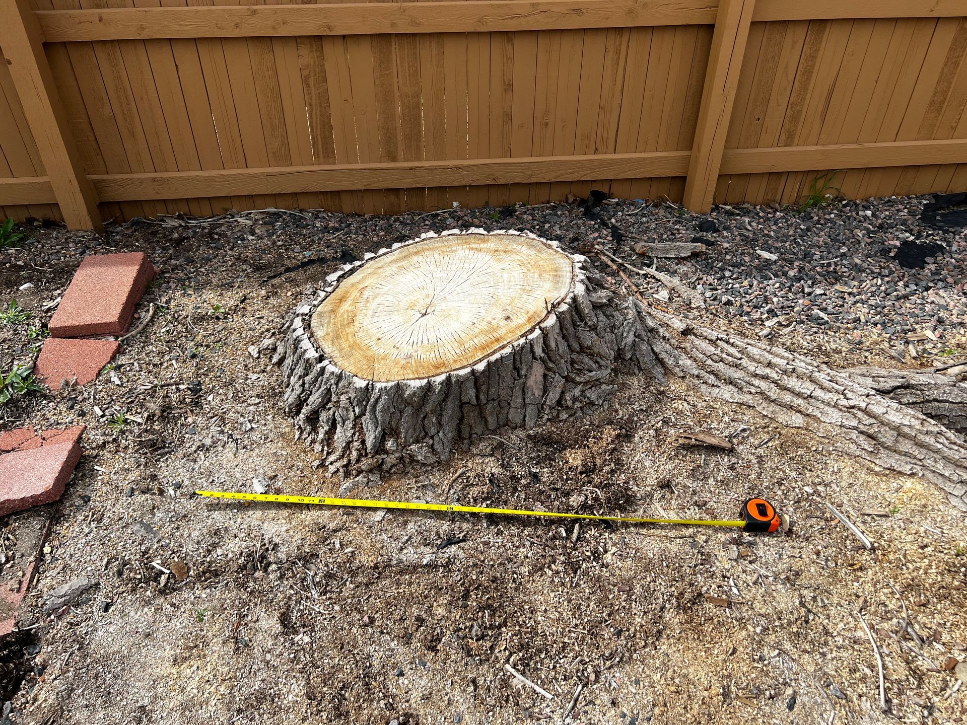 A man is cutting a tree branch with a chainsaw.