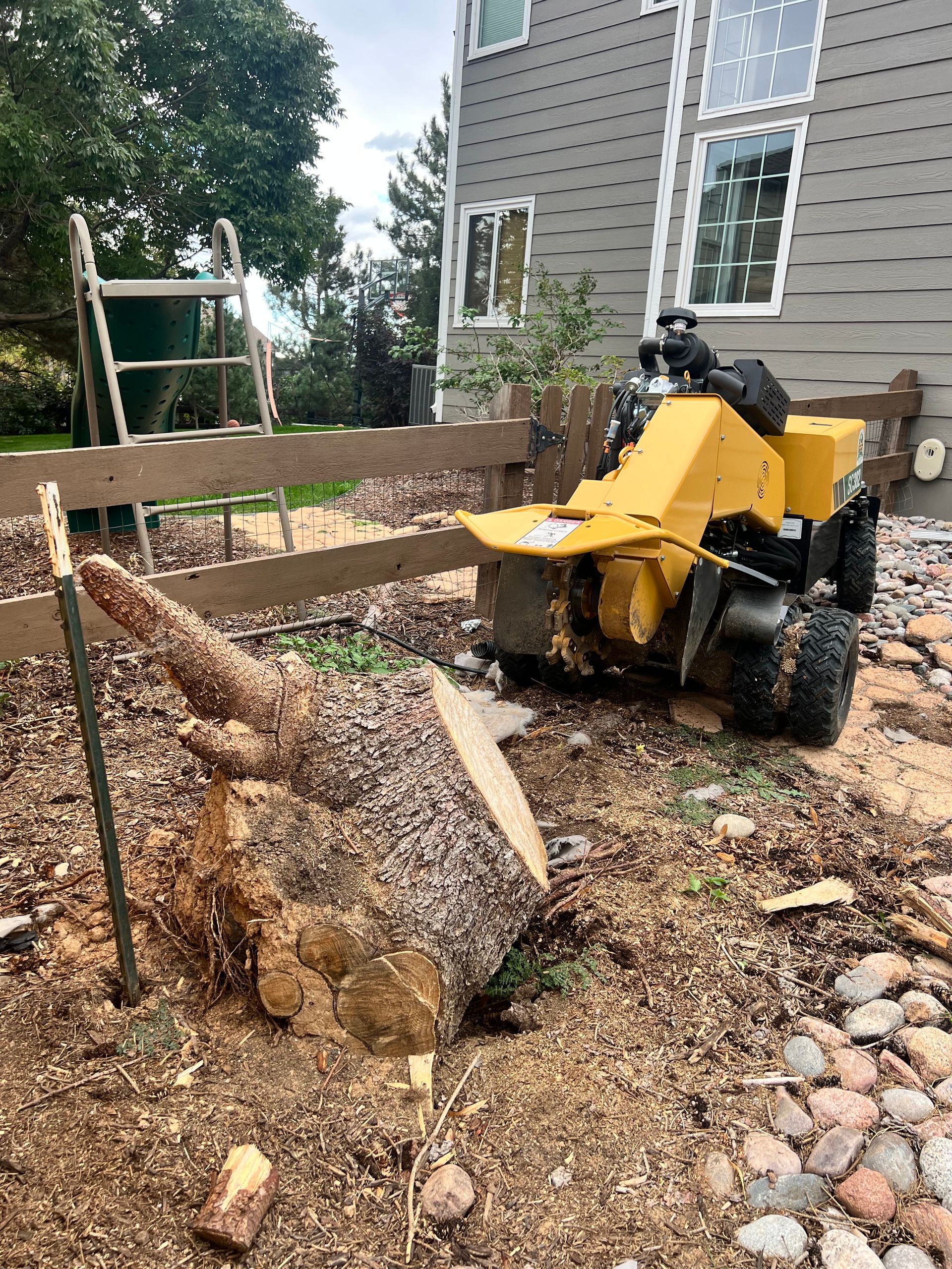 Stump removal close to a fence in Highlands Ranch, CO