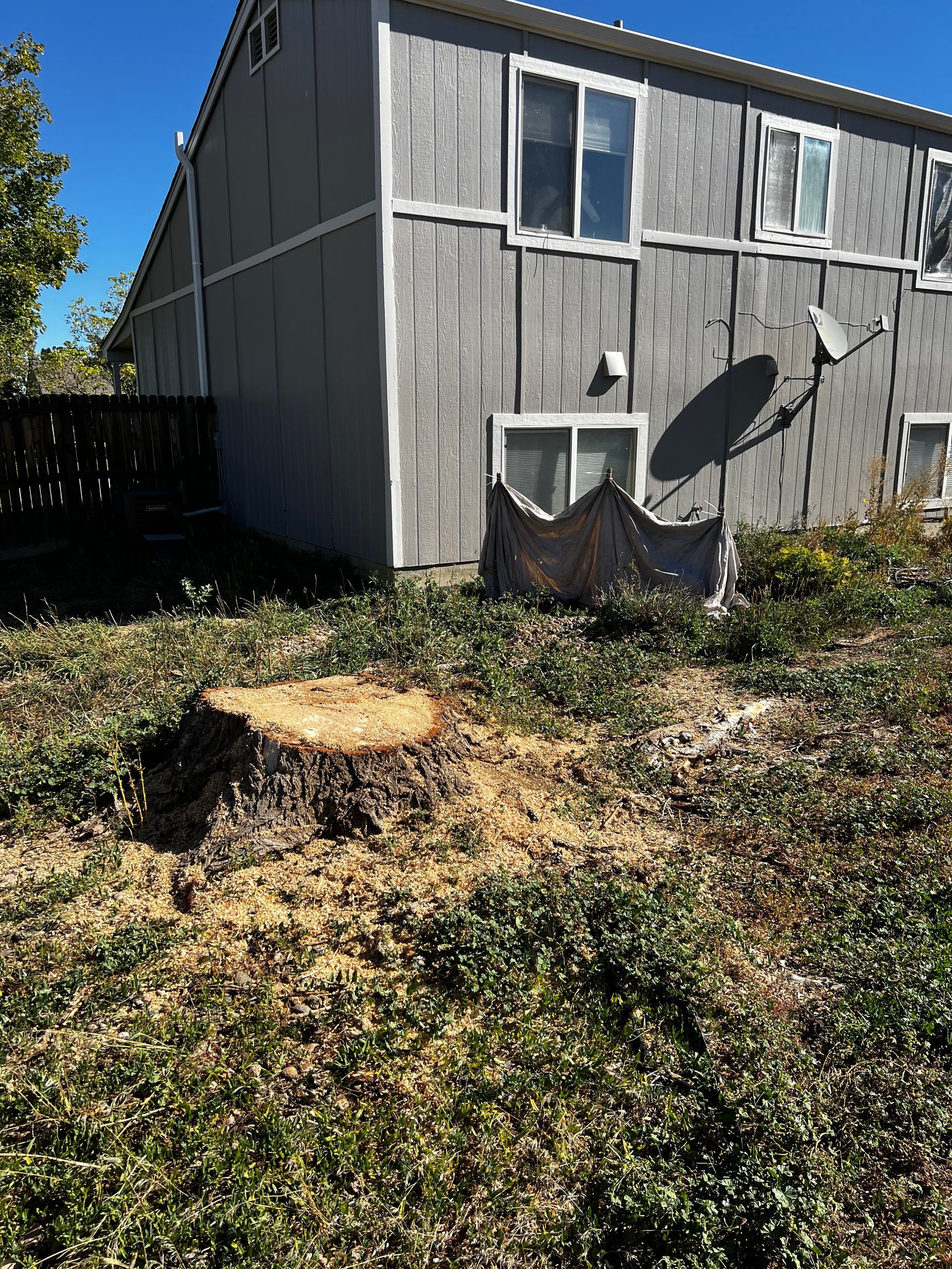 A yellow excavator is moving dirt in a yard.