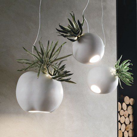 lampadari con piante