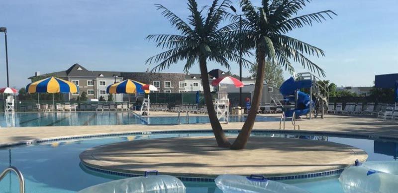 Swimming pool with palm trees, a small island, and water slides under a blue sky.
