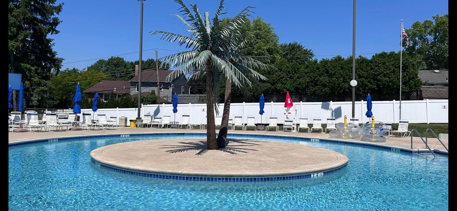 A swimming pool with an island and a palm tree in the middle. White fence and trees surround it.
