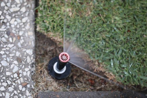 A sprinkler is spraying water on a lush green lawn.