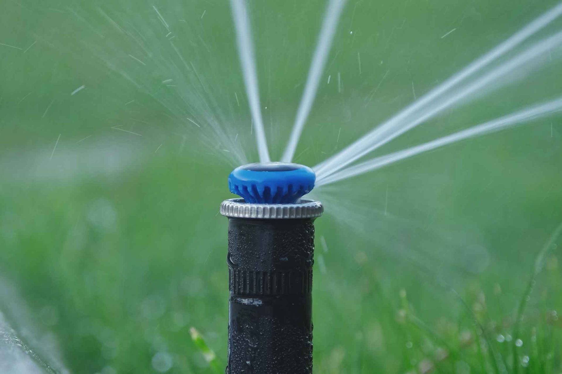 A close up of a sprinkler spraying water on a lush green field.