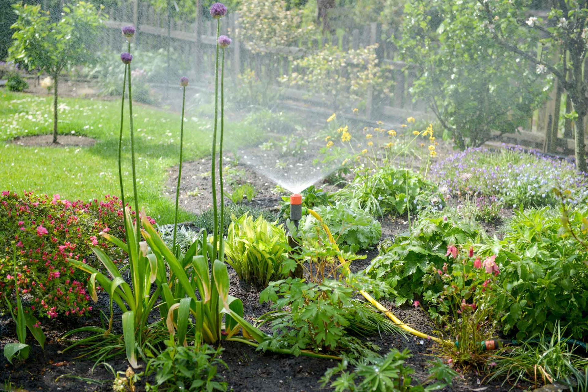 A garden with a sprinkler spraying water on plants and flowers.