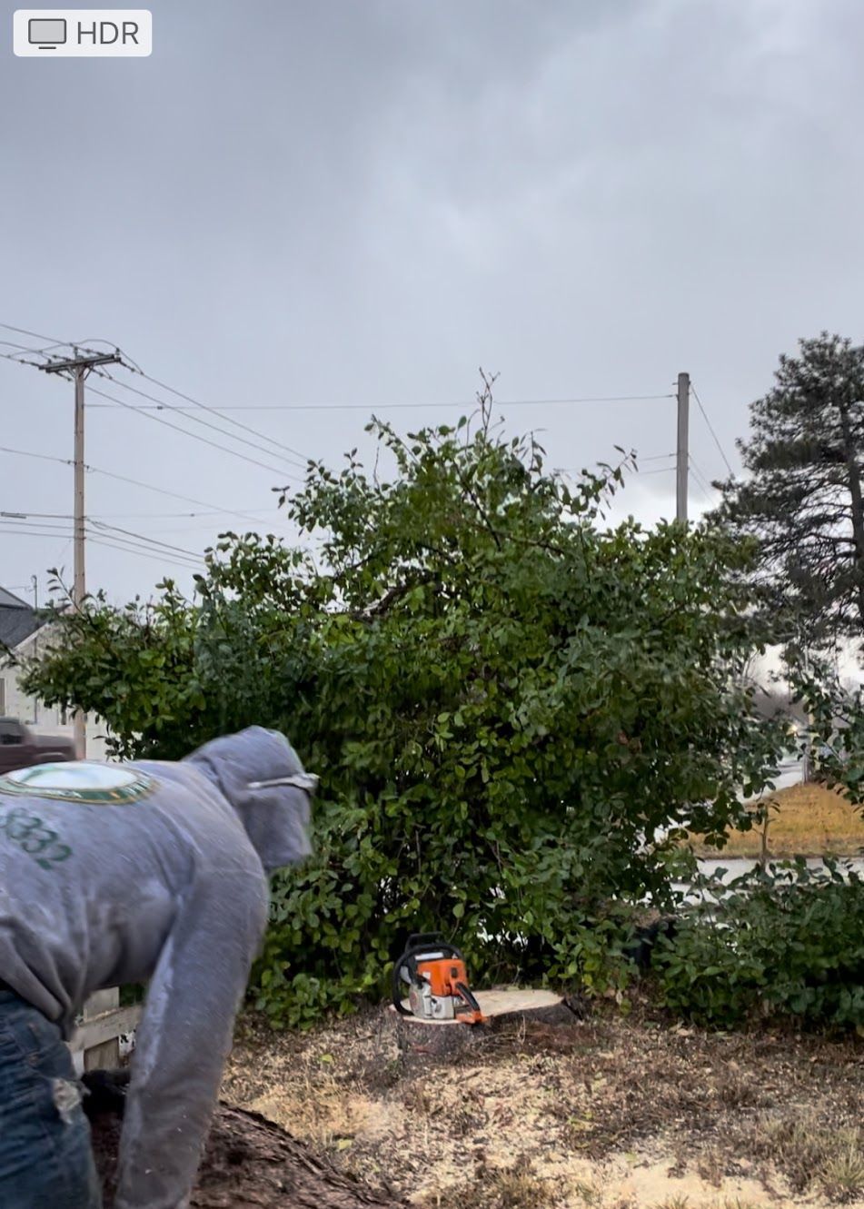 Person using a chainsaw to cut a tree outdoors. Gray sky and power lines are visible.