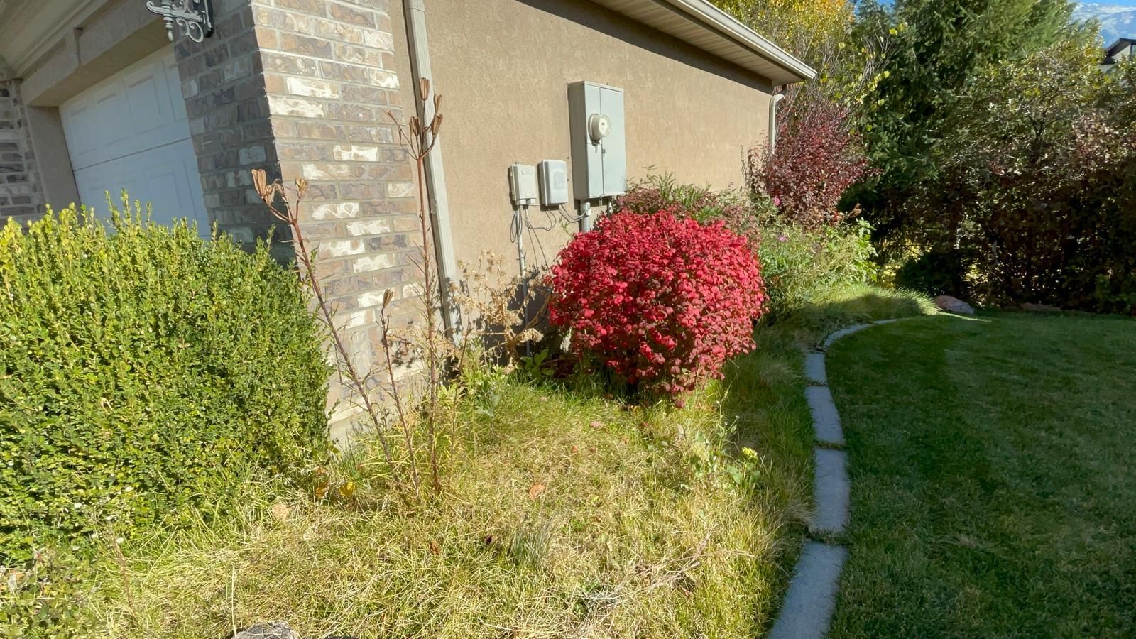 There is a bush with red flowers in front of a house.