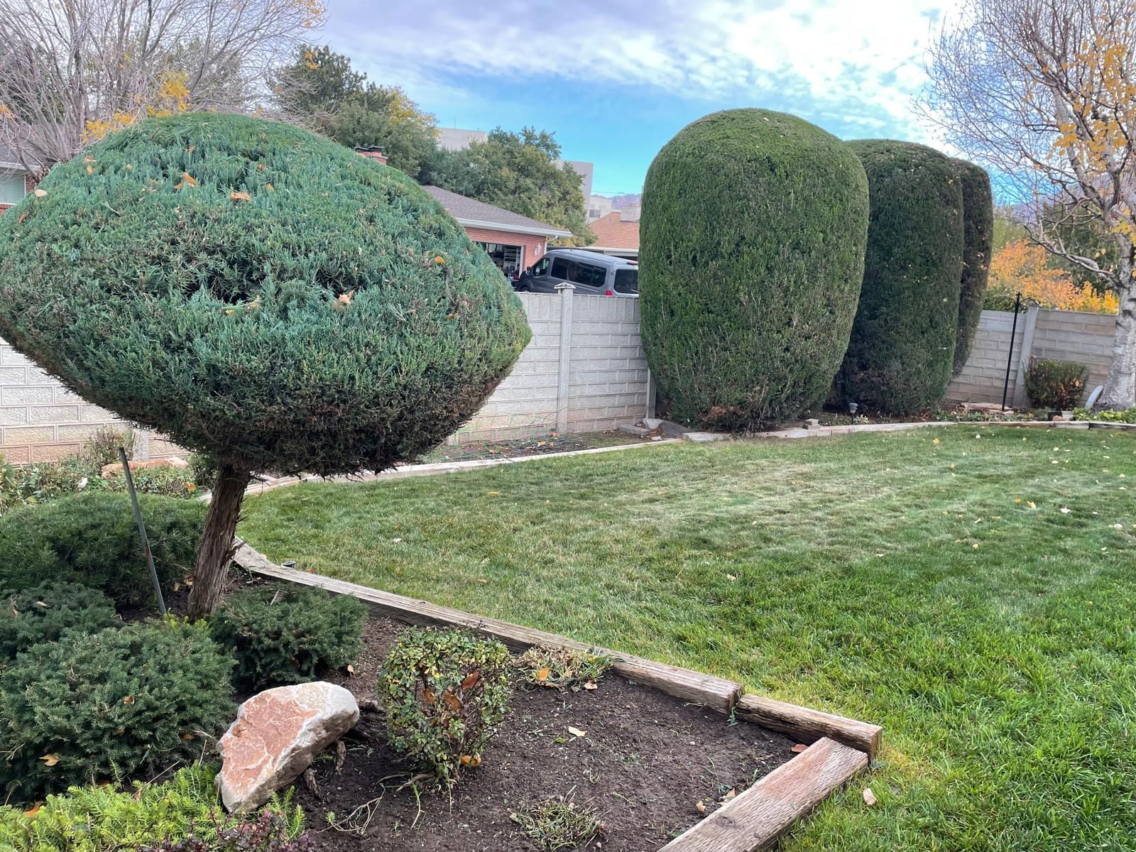 A lush green yard with a tree and bushes in the middle of it.