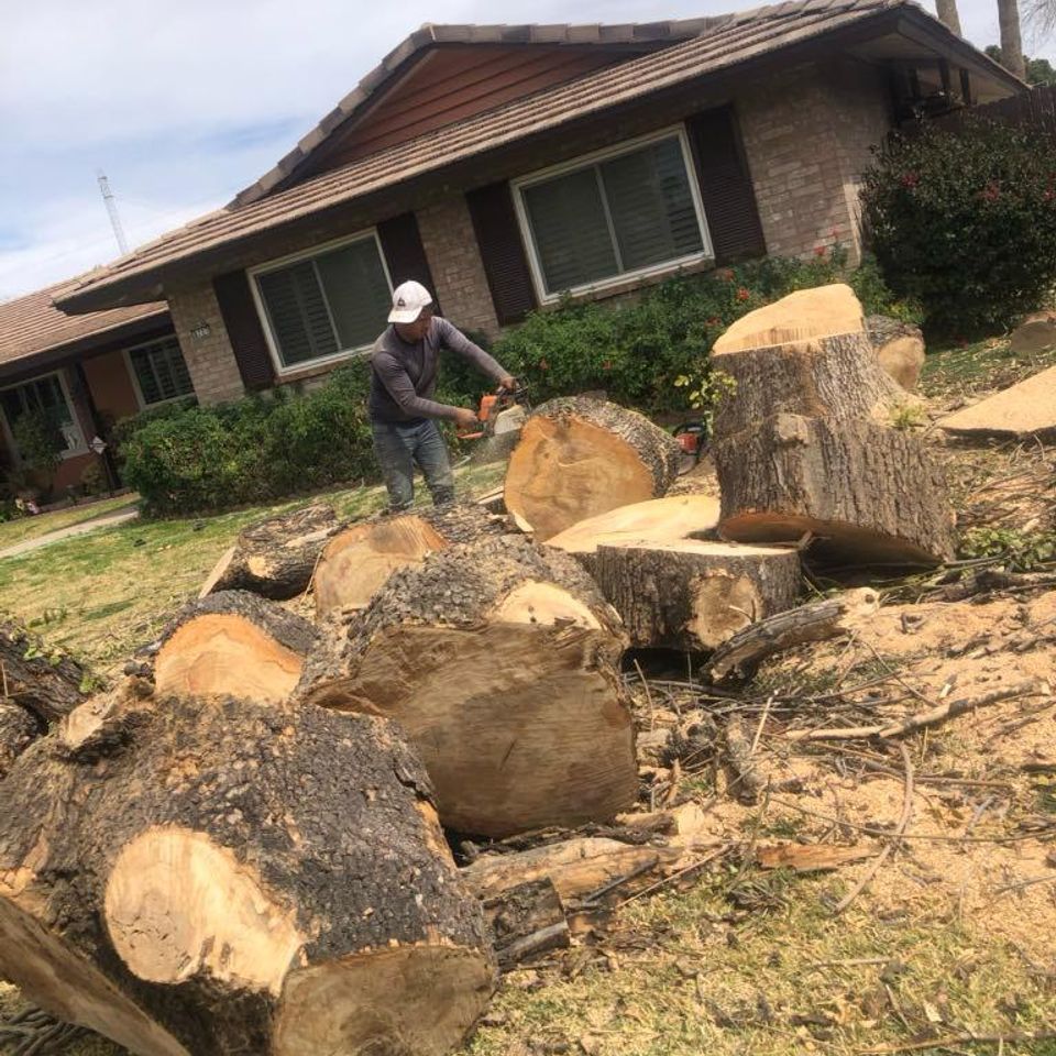 A man is standing next to a pile of logs in front of a house.