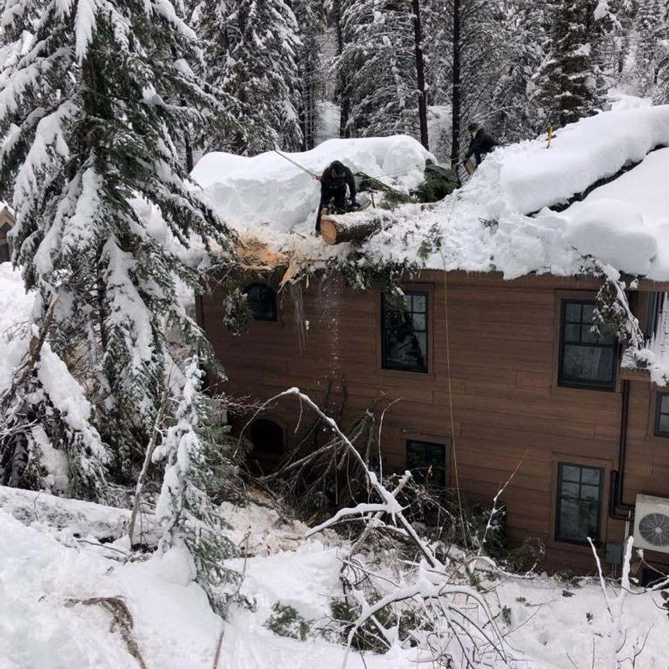 A house is covered in snow and a tree is fallen on the roof.