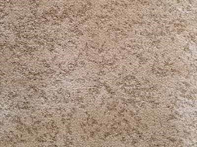 Beach Wood - carpet floors in Bridgewater, PA