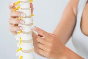 A woman is holding a model of a spine and pointing at it.