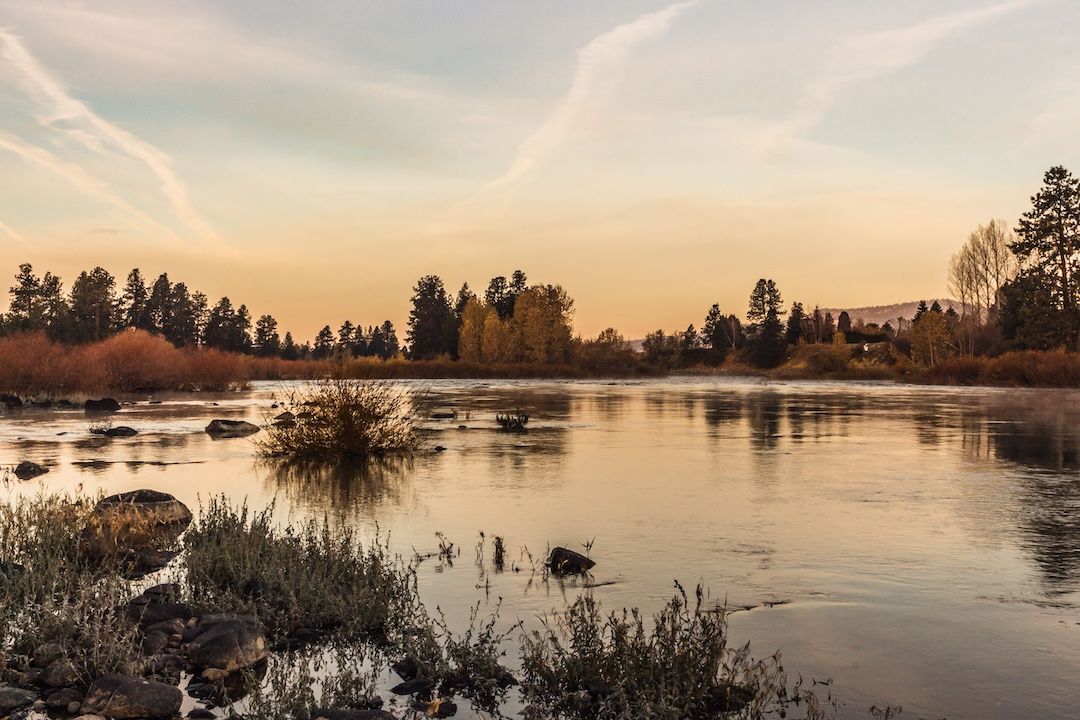 A wide calm river flowing past green bushes and reflecting tall dark pine trees under a warm sunset sky.