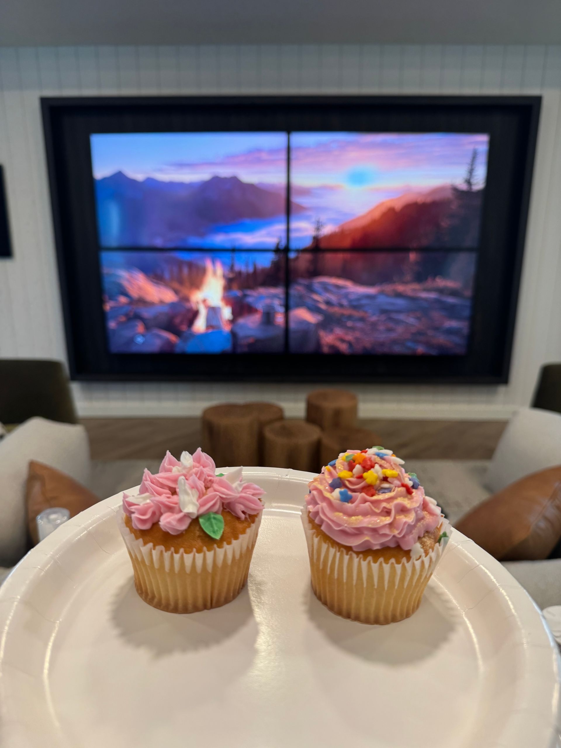 Two cupcakes with pink frosting on a white plate held in front of a living room television displaying a mountain landscape.