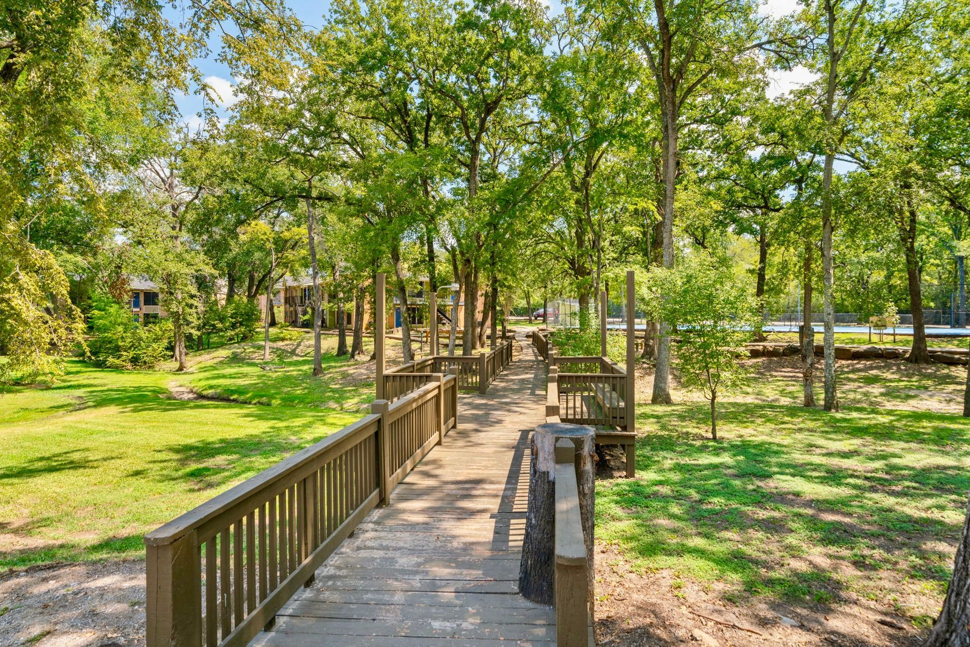 Wooden walkway through a grassy area surrounded by trees.