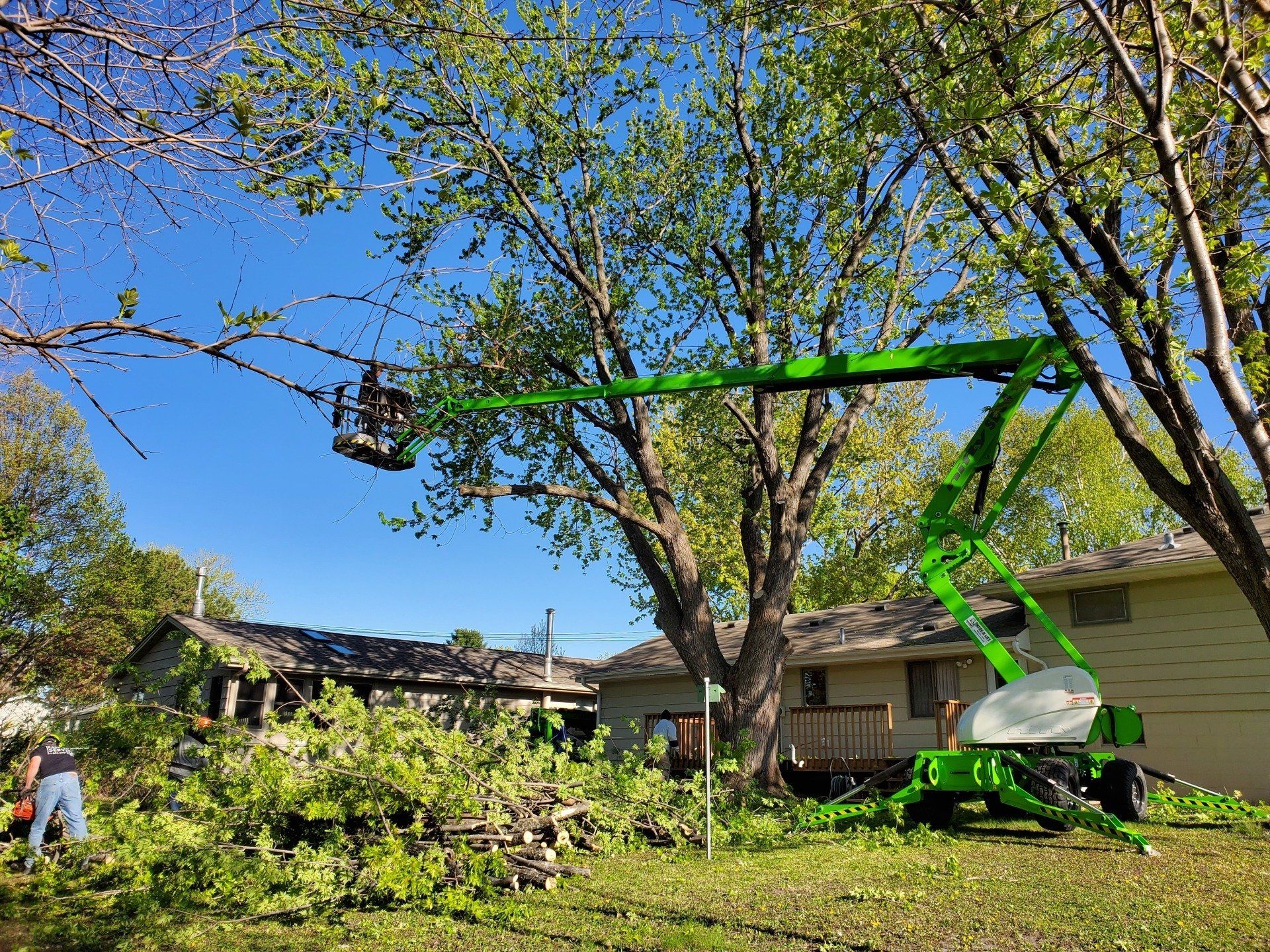 Certified Arborist Easy Tree Service