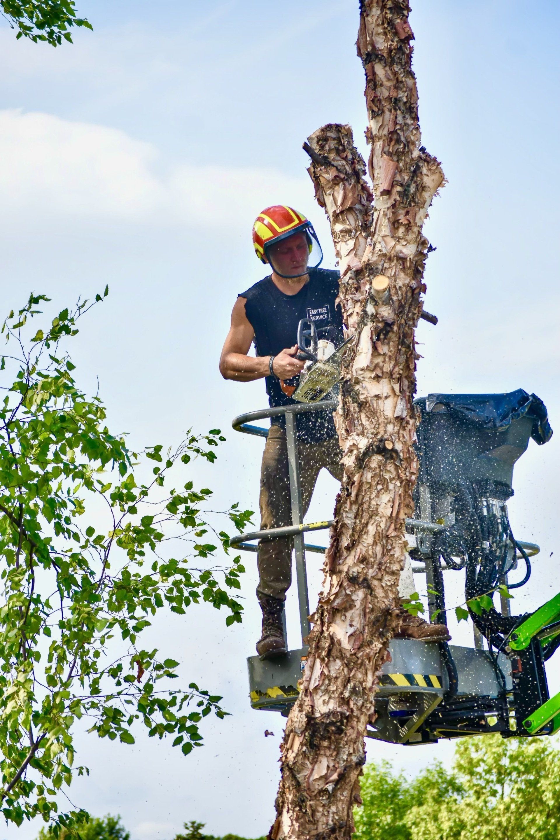 Tree Cutting And Removal Service Company Twin Cities Minnesota 9475