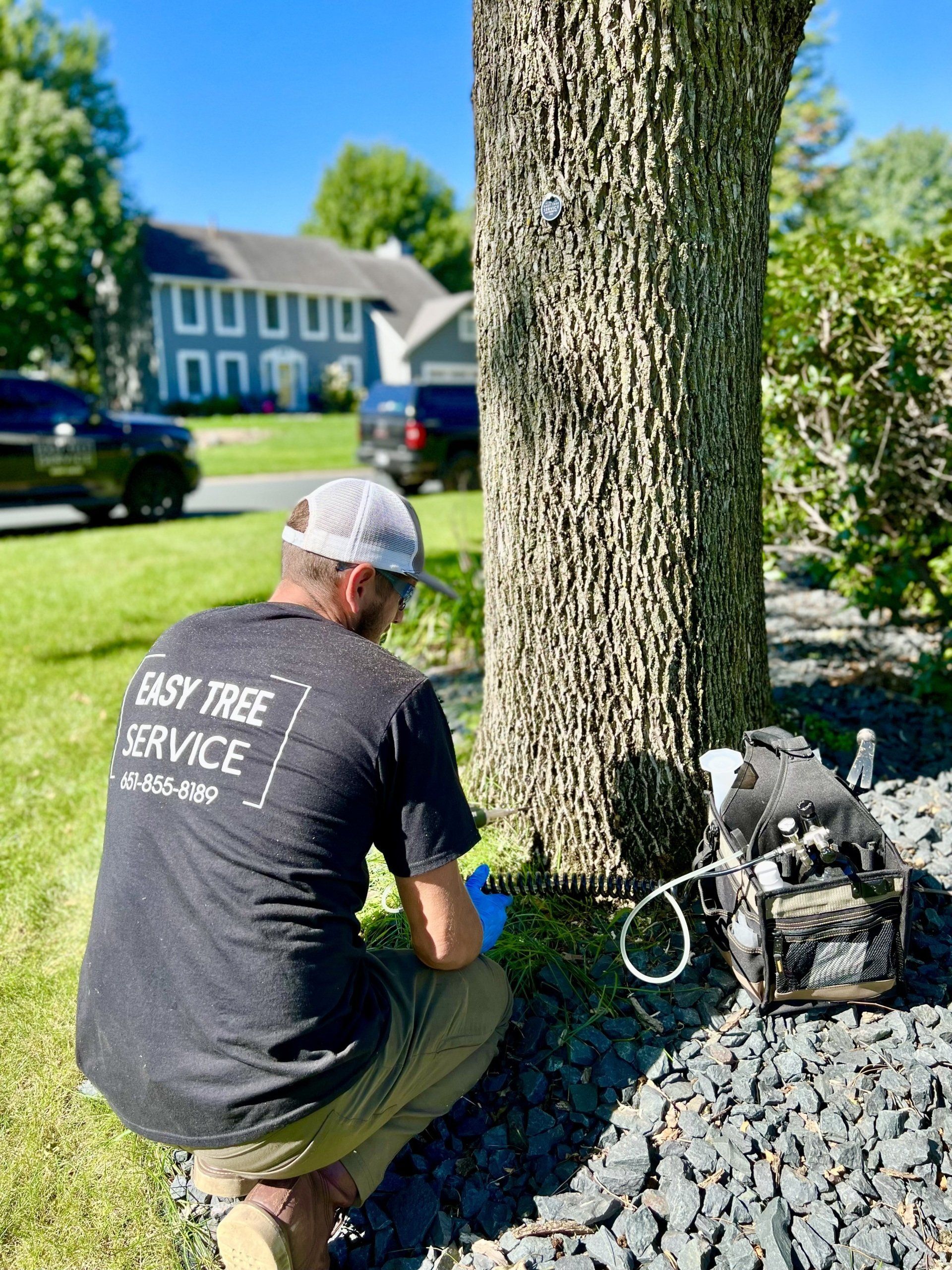 Certified Arborist Easy Tree Service