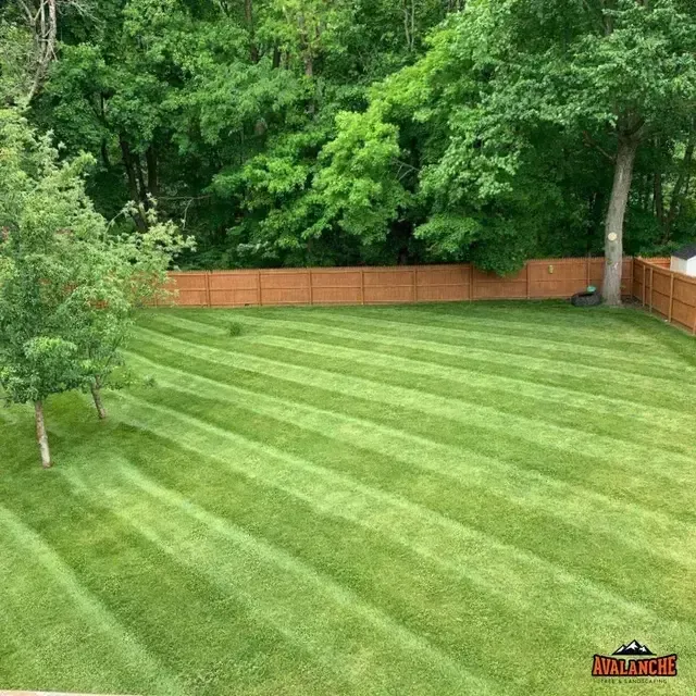 Yard with freshly cut grass and neatly defined areas