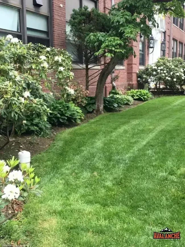 Landscaping service in New Haven, CT