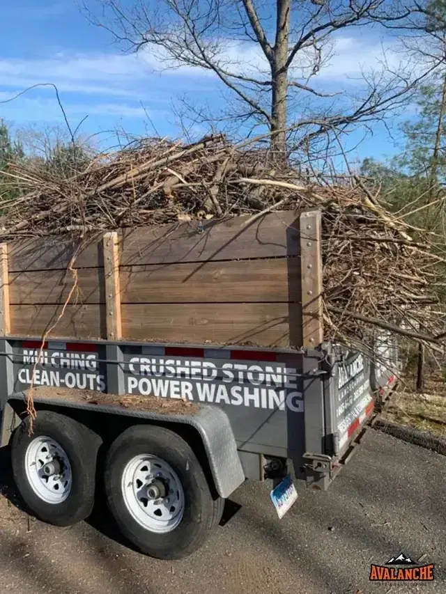 Our tree removal and chipping services